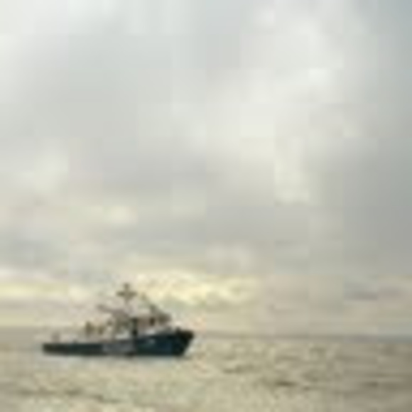 Meet your Posher, Nathan - Picture 1 of 1